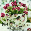 플랜비스튜디오 이미지