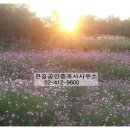 큰길공인중개사사무소 이미지