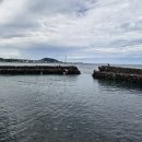 샛도리물 이미지