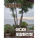 이디야포항화진점