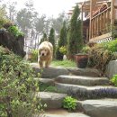 로하스펜션 이미지