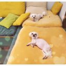 청 애견미용 이미지