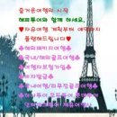 해피관광하나투어 이미지