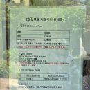 [고성 가볼만한곳] 고성만화방초 방문 후기 : 꽃이 많이 없어도 좋았던 반전 매력(주차·카페·유모차 팁)
