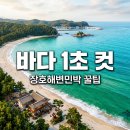 콘도식민박 | 장호해변민박 예약 실패 없는 완벽 가이드: 바다 1초 컷 숙소 꿀팁