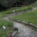 치악산자연휴양림 이미지