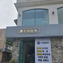 청주애견카페 수려하개 방문후기! ::청주에서 애견유치원 맡길 수 있는곳