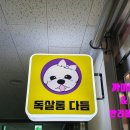 독살롱 다듬 이미지