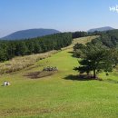 부국개발주식회사 여미지식물원 이미지