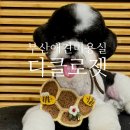 디클로젯 이미지
