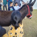 이천농업테마공원 공원부지 이미지