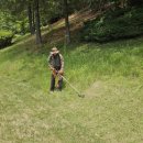 (주)금강조경 이미지