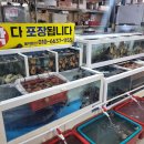 선희네 이미지