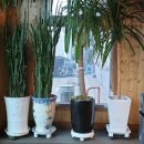 두부마을양반밥상 이미지