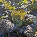 대명환경폐기물 이미지