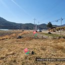 고성부동산중개사무소 이미지