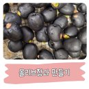 올리브정과만들기 내맘대로 레시피 후기예요.