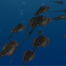 (주)아인픽춰스 이미지