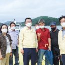 읍시장1 이미지