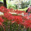 산호동136 이미지