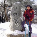 洛東正脈 완주기념 청계산 산행(2023-12-16) 이미지