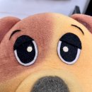 광남초교병설유치원 이미지