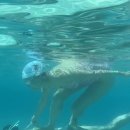 오부장치킨 역곡점 이미지