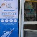 다나음동물병원 | 전라북도 익산시 동물병원 추천 장소 6곳
