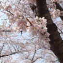 호수별 이미지