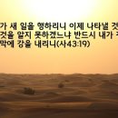 이스라엘로 오십쇼!, 광야를 걸으며... 이미지