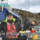 도시어부 이미지