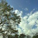 [29th.캠핑기록] 마운틴뷰가 장관인 지리산 대경오토캠핑장(A4사이트)