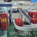 (주)두레항공여행사 투어코리아