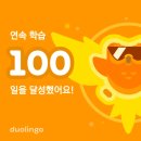 슈퍼 듀오링고 100일 학습 후기 및 장단점 (+약간의 팁?)