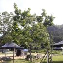 김경수농장 이미지