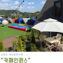남양주 애견동반카페 추천, 반려견과 힐링하기 좋은 카페인퀸스 후기