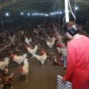 이성수농장 이미지