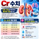 Cr 수치(Creatinine, 크레아티닌) 이미지