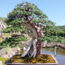 정부세종청사 시외버스터미널 이미지