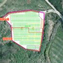 미천면-2 이미지