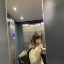 [여행] 오스트리아 비엔나 혼여행기