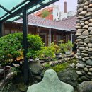 광주세무소 | 먹으러 떠나는 임산부 목포 팜유 코스✨ 쑥꿀레, 씨엘비베이커리, 곰집갈비, 런디드오프 카페 방문후기!