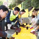 횡단보도옐로카펫 이미지