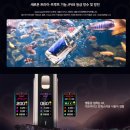 베이프데이
