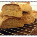 노이하우스 민박 이미지