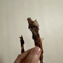 신정건어물 이미지