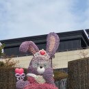 주주팜 | <대구> 놀이기구 못 타도 이월드 가능? 하루 코스 솔직 후기(이월드 주주팜, 버드카페)🎠