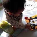 두뇌개발 놀이터 이미지