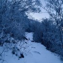 지리산 (백무동 - 중산리) 이미지