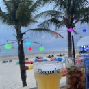 Beach Beer(비치비어) 이미지